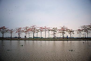 日本汉堡王与《暗黑不朽》联动推汉堡 美味体验